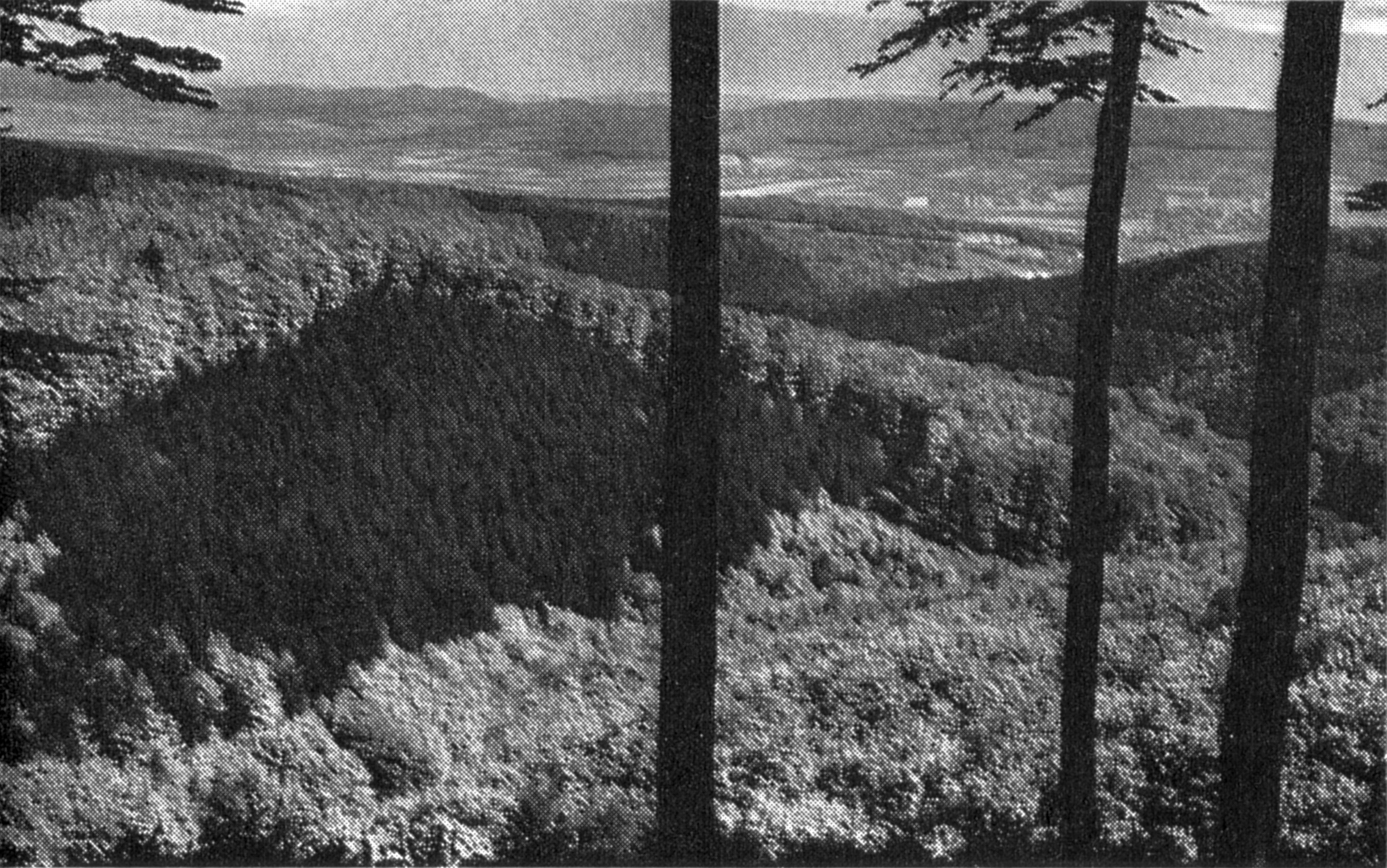 Blick auf das Wabachtal